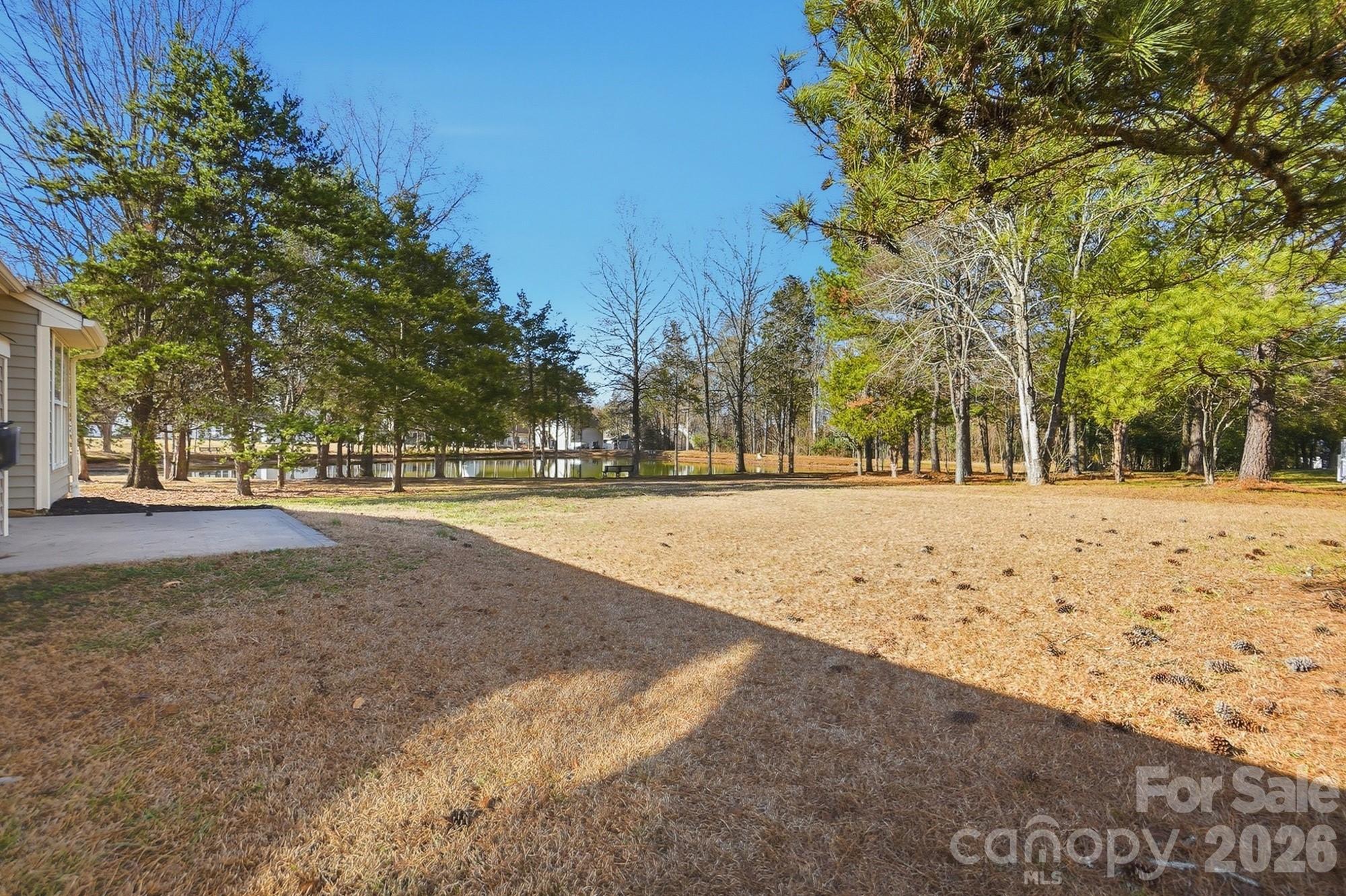 Image 40