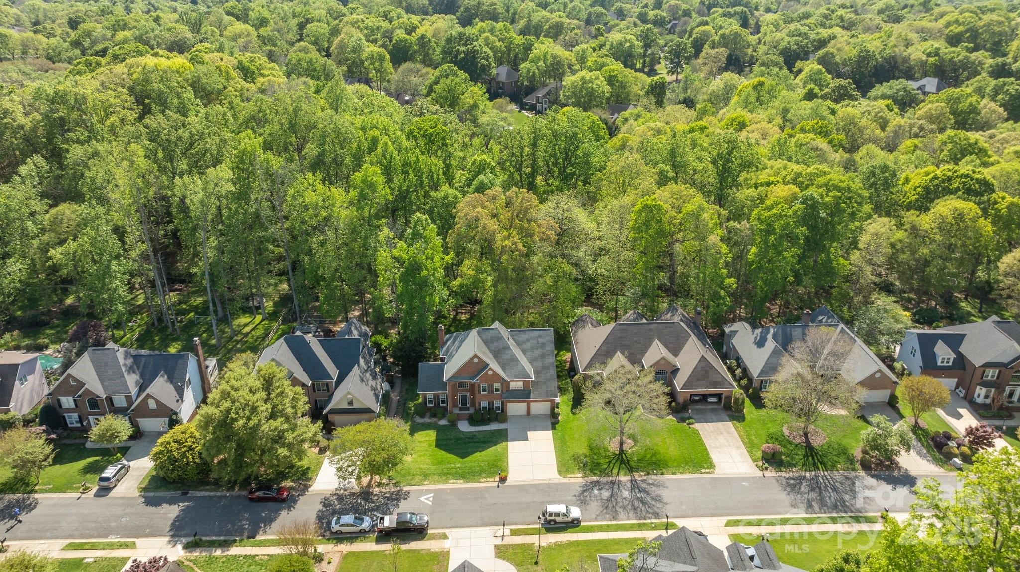 Image 42