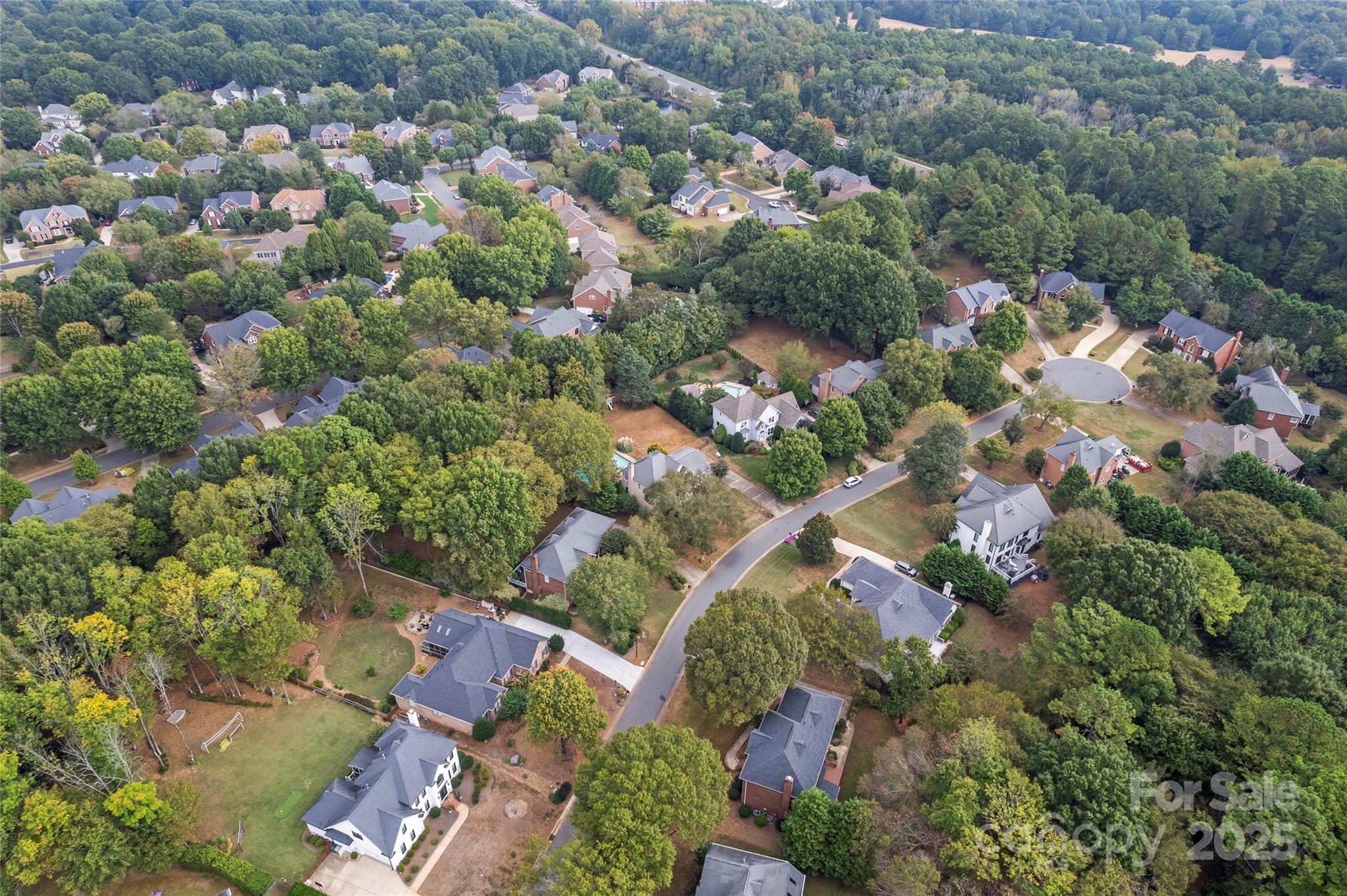 Image 44