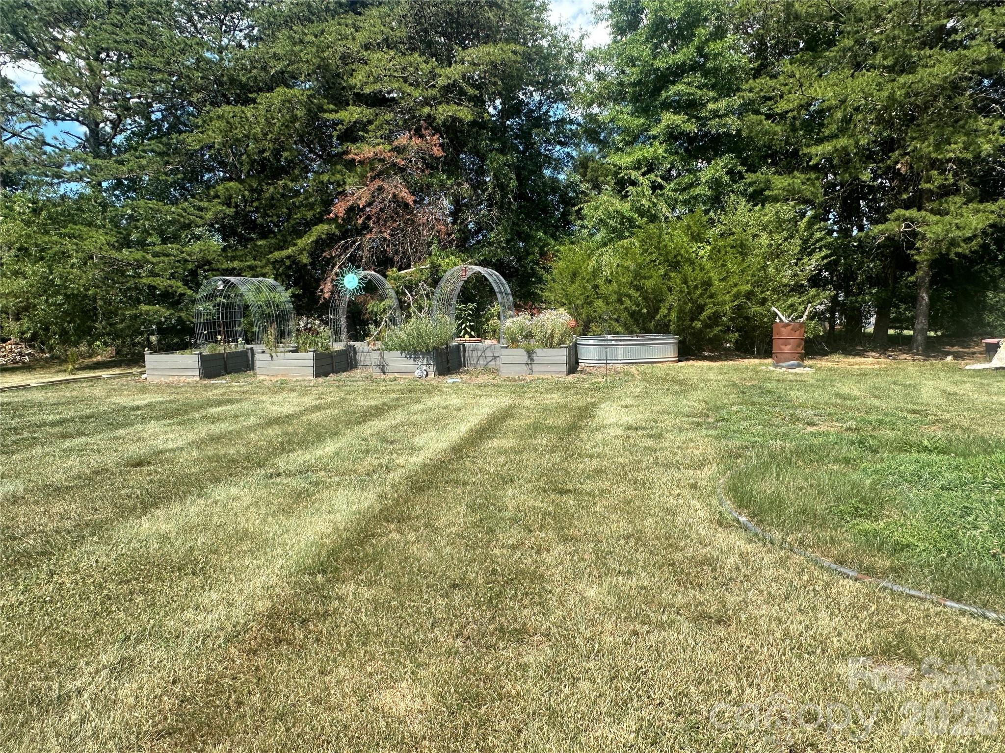 Image 20