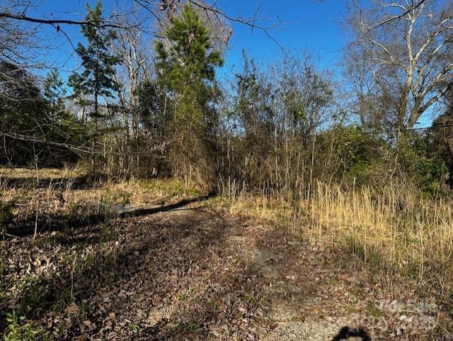 Robert Lesslie 4000 Lesslie Highway, Catawba, SC 29704 - MLS 4243033