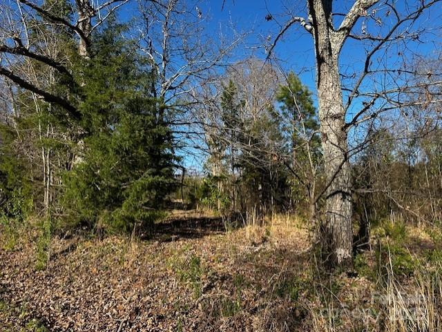 Robert Lesslie 4000 Lesslie Highway, Catawba, SC 29704 - MLS 4243033