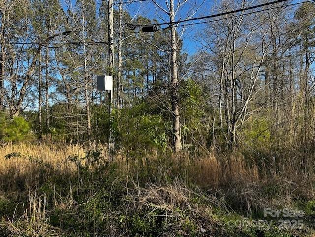 Robert Lesslie 4000 Lesslie Highway, Catawba, SC 29704 - MLS 4243033
