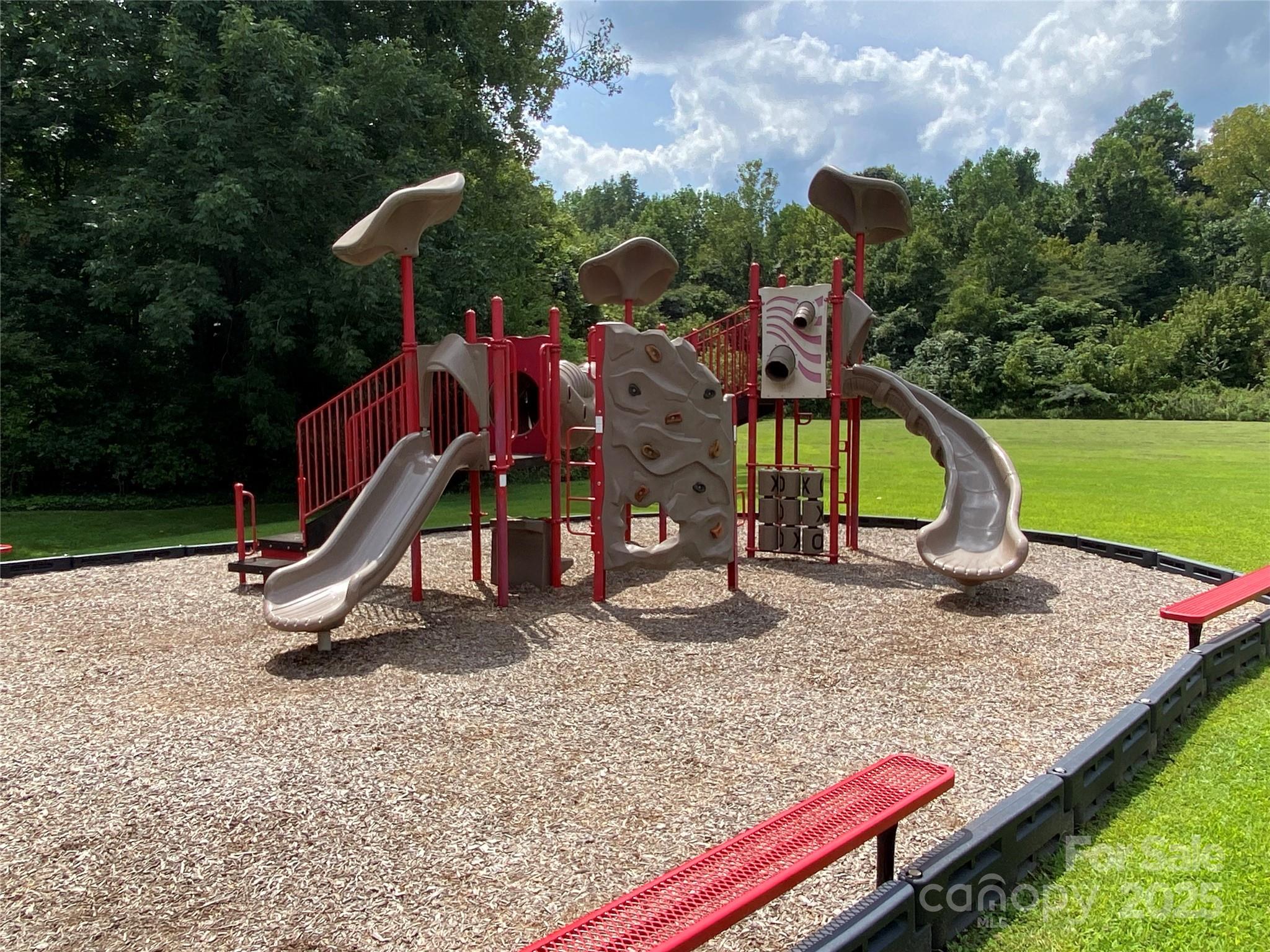 Image 41