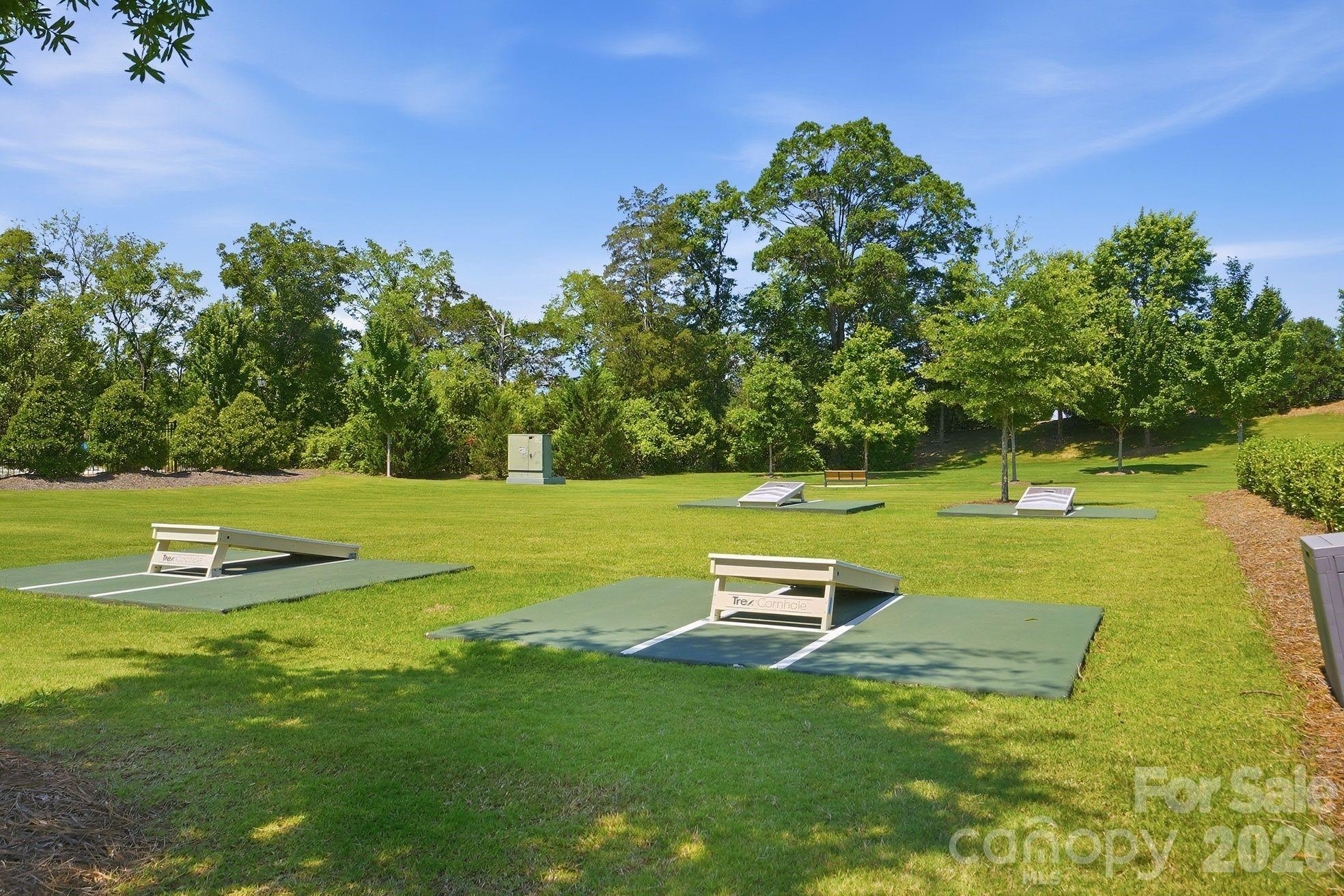 Image 37